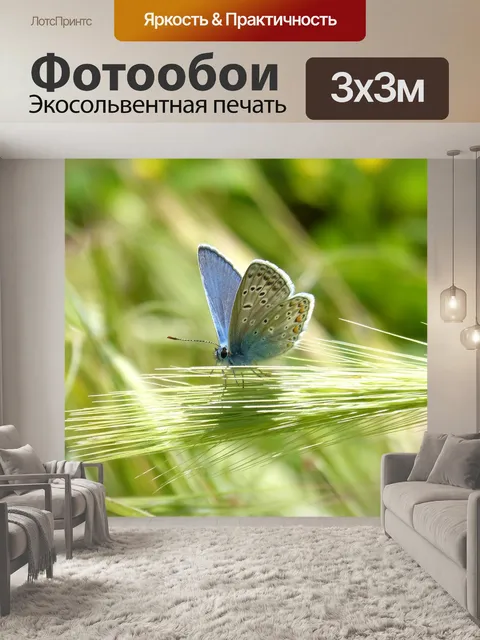 Фотообои Голубая бабочка