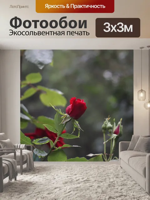 Фотообои Красная роза