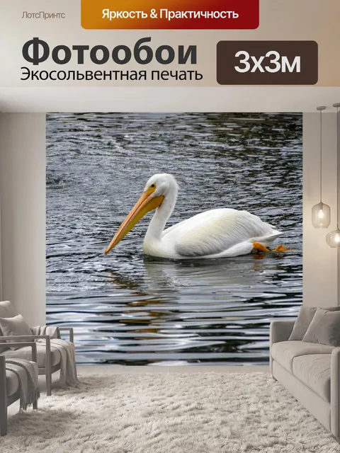 Фотообои Белый пеликан
