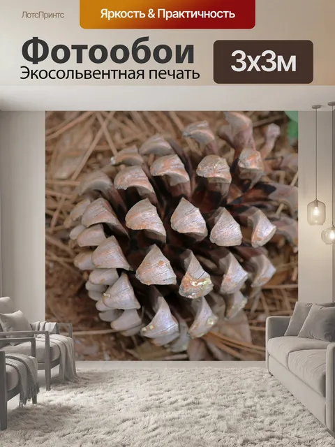 Фотообои сухой сосновый конус
