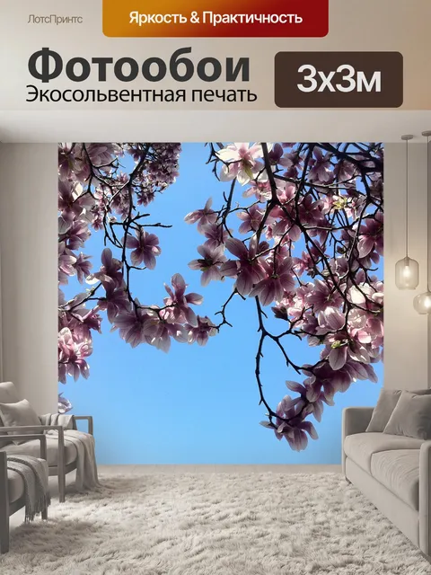 Фотообои Небо