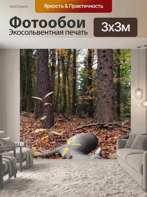 Фотообои Мертвый