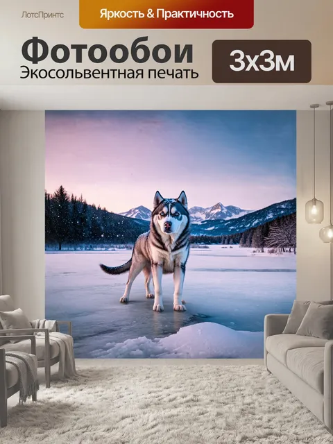 Фотообои величественная собака хаски, стоящая на краю замерзшего озера, ее шерсть сверкает на фоне зимнего пейзажа