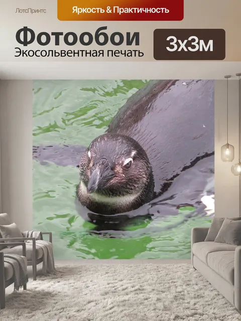 Фотообои Пингвин