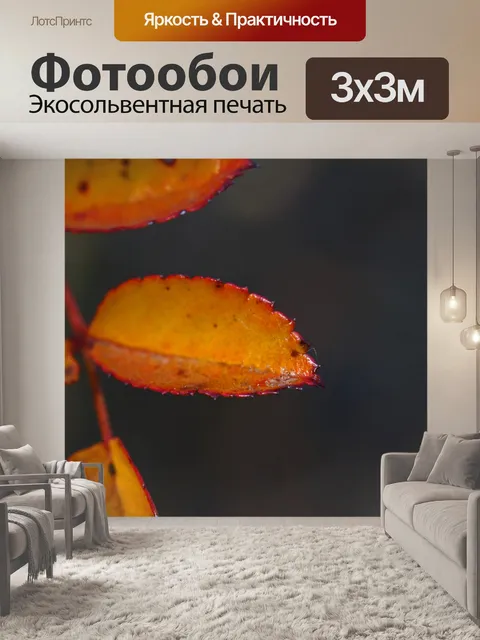 Фотообои Составной лист желтой розы