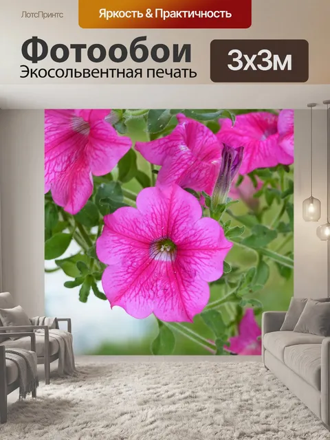 Фотообои Цветы