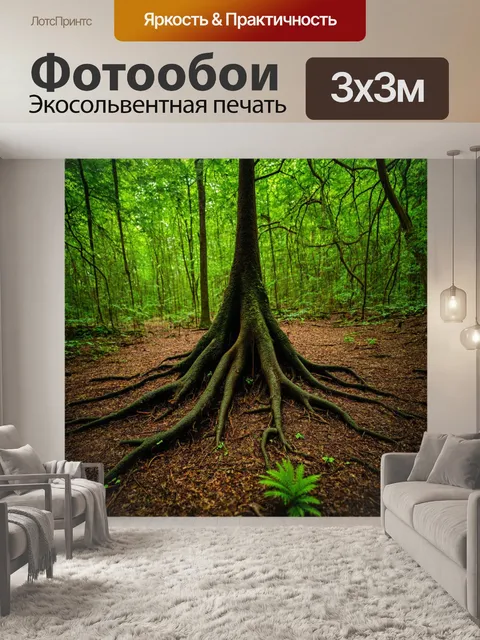 Фотообои лес с необычными формами корней, выпирающих из земли