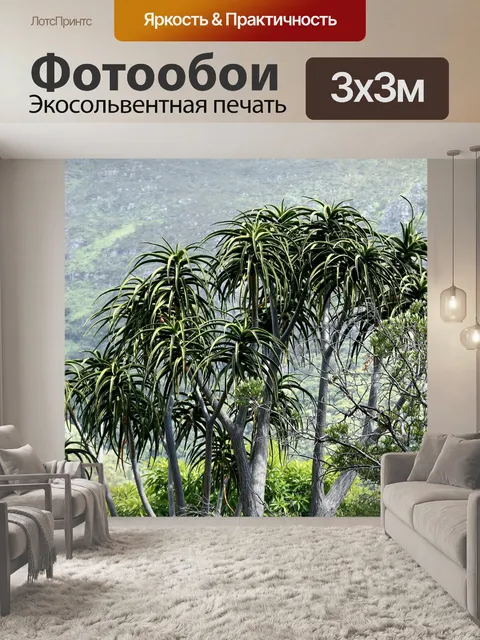 Фотообои Алоэ