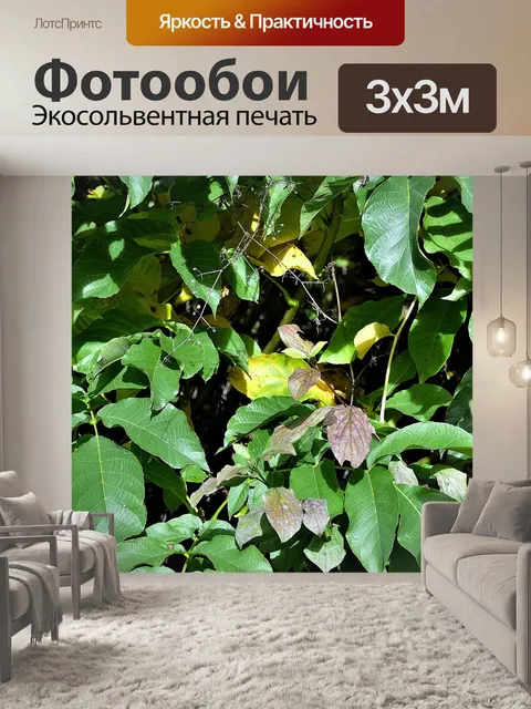 Фотообои Листья