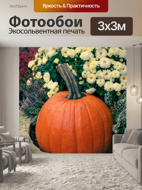 Фотообои Осенняя композиция из тыкв