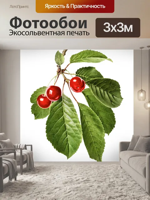 Фотообои Фрукты винтажные вишни арт