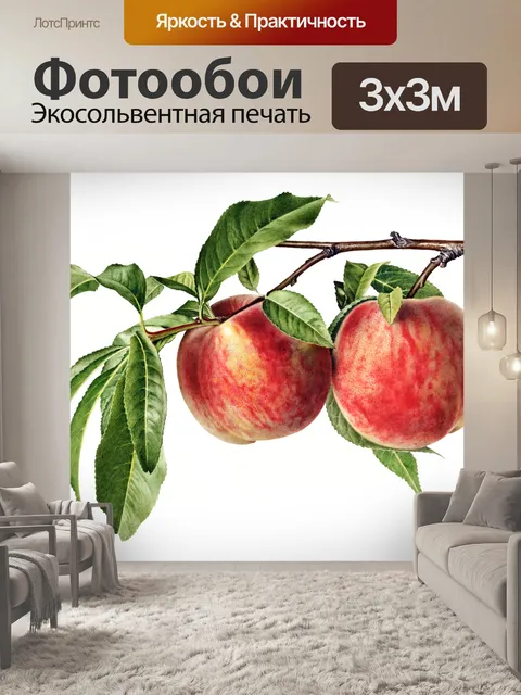 Фотообои Винтажные фруктовые иллюстрации