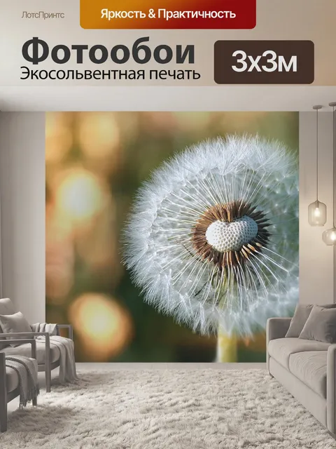 Фотообои Цветок одуванчика