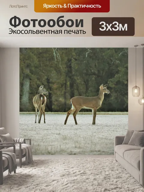 Фотообои Два белохвостых оленя в морозной траве