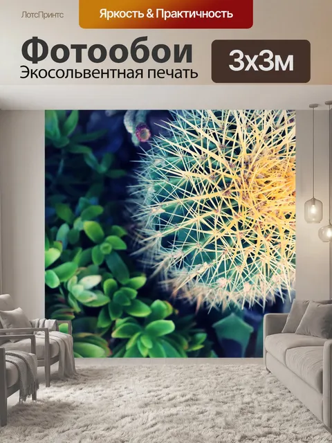 Фотообои Золотой бочонок кактус