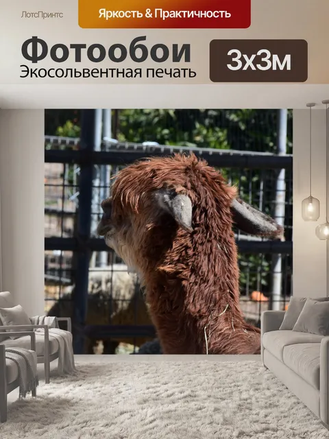 Фотообои альпака