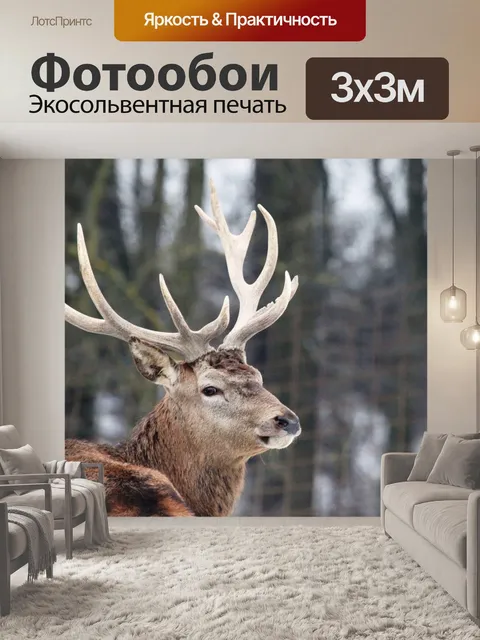 Фотообои Красивое животное