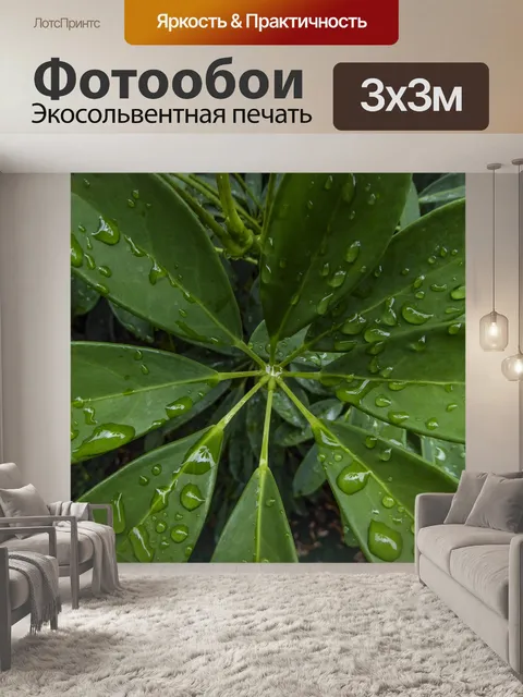 Фотообои Капли дождя на зеленый лист