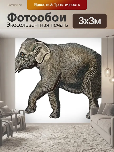 Фотообои Искусство слона