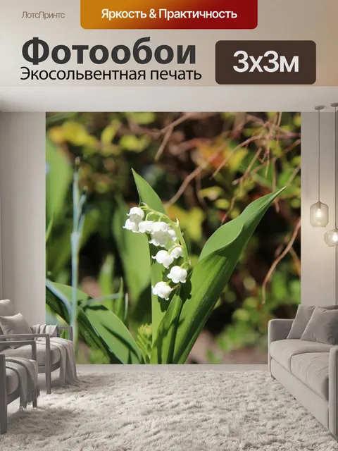 Фотообои Ландыш