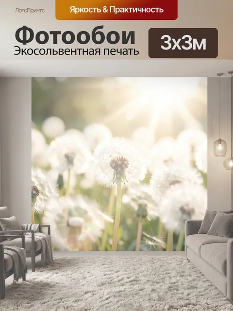 Фотообои Белые одуванчики в мягком свете