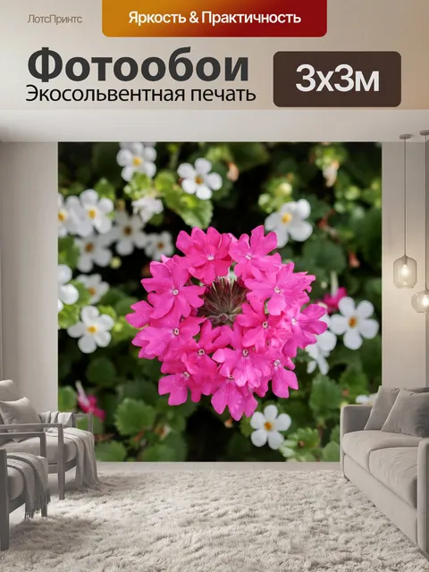 Фотообои Розовые цветы