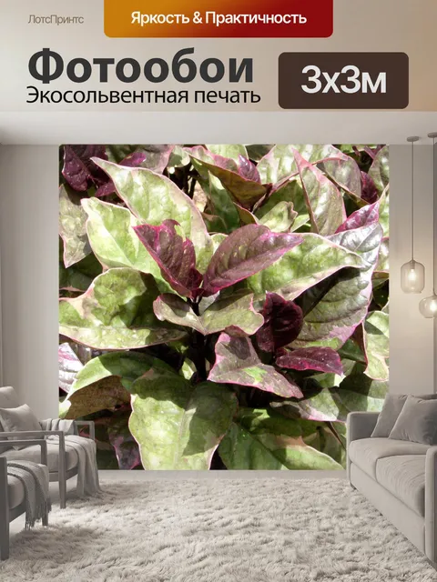 Фотообои Лист