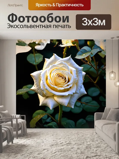 Фотообои реалистичное изображение белой розы в стиле гиперреализма