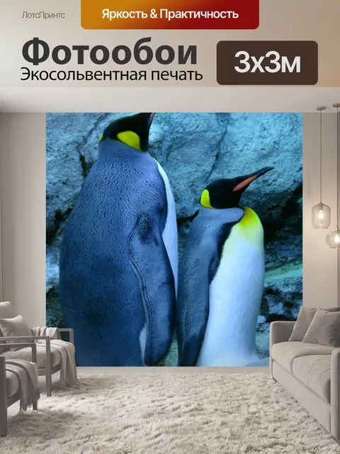 Фотообои Королевский пингвин