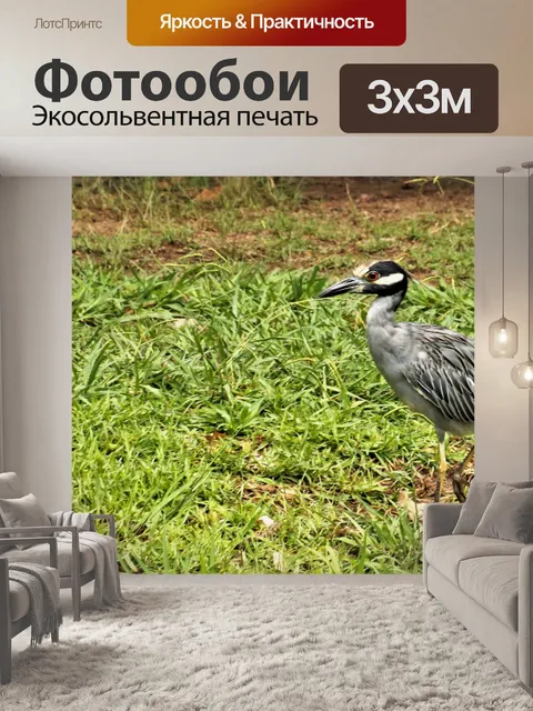 Фотообои Желтая коронованная ночь