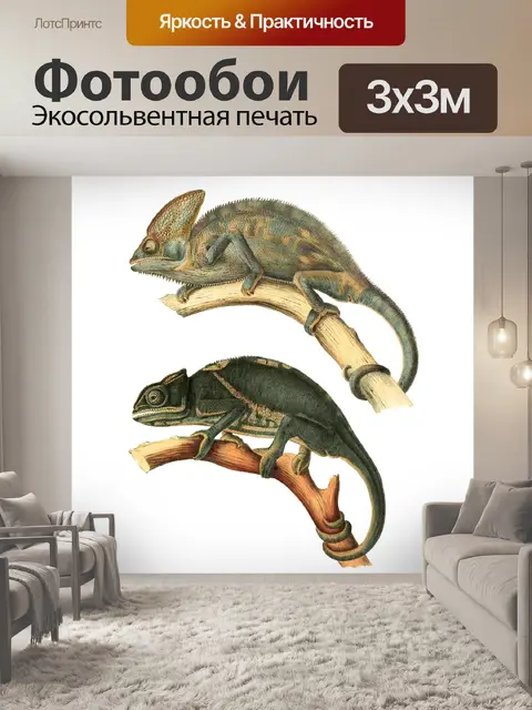 Фотообои Хамелеон старинный старый клипарт