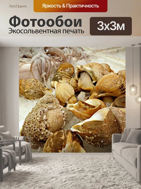 Фотообои Морская ракушка