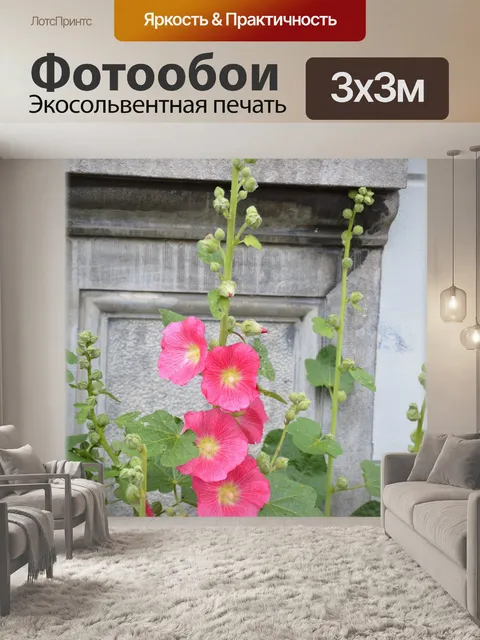 Фотообои Голландские цветы сады 95