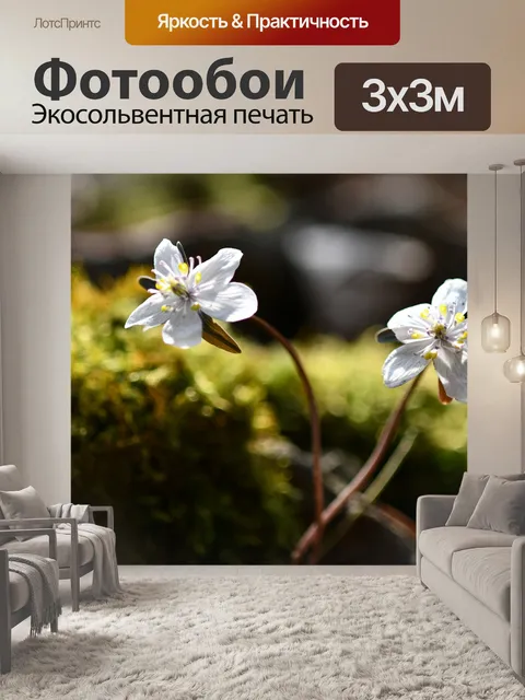 Фотообои Изменения в кислотно цветочный бриз