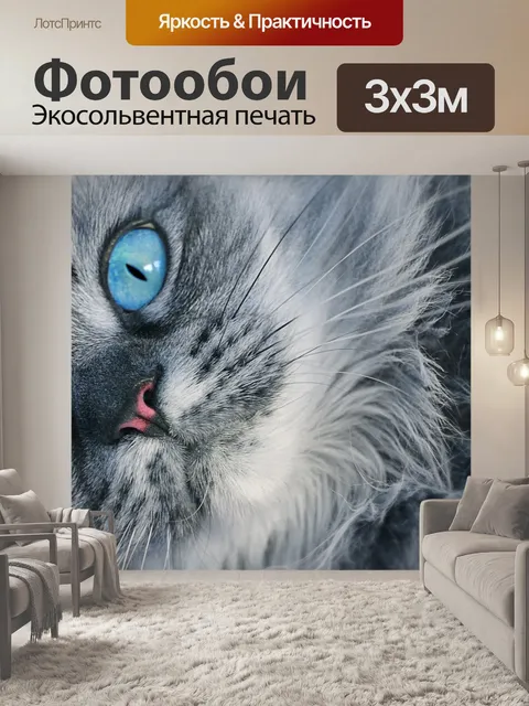 Фотообои Кошачьи глаза