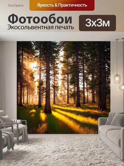 Фотообои утро: утренние лучи солнца пробиваются сквозь сосновый лес, создавая волшебные контрасты света и тени