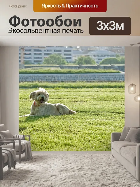Фотообои Домашний питомец