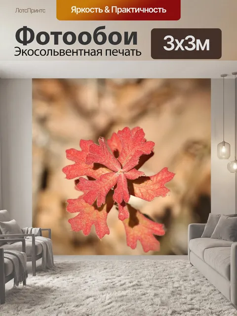 Фотообои Новые листья дуба Блэкджек весной