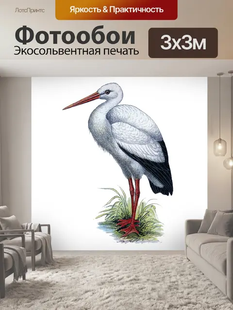 Фотообои Аист птица винтажный клипарт