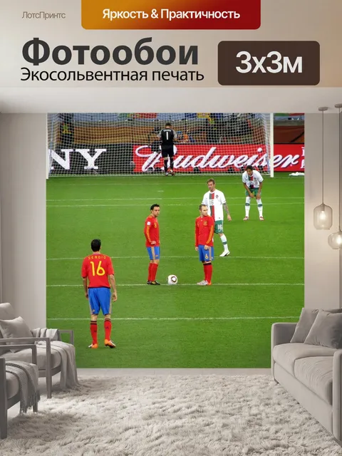 Фотообои Чемпионат мира 2010
