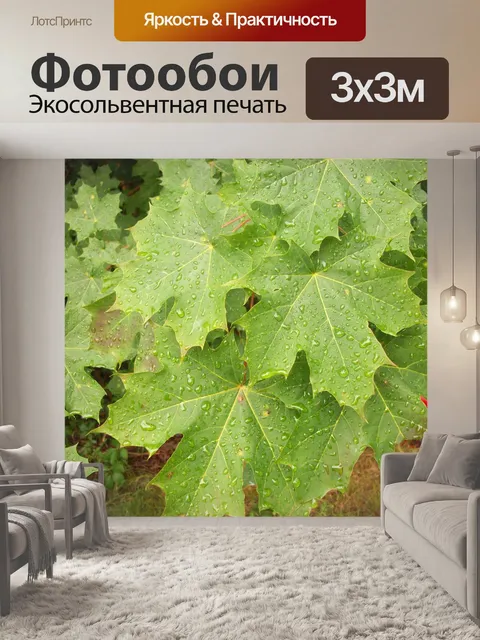 Фотообои Капли дождя