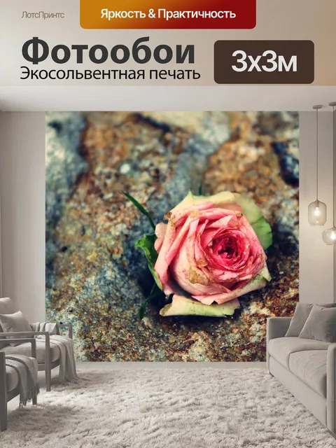 Фотообои Роза