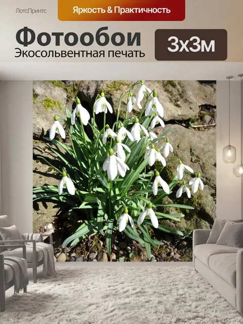 Фотообои Ранняя весна