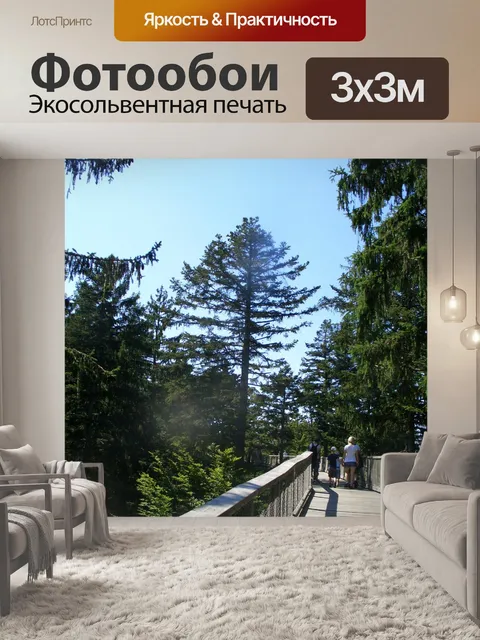 Фотообои Тропинка на верхушках деревьев