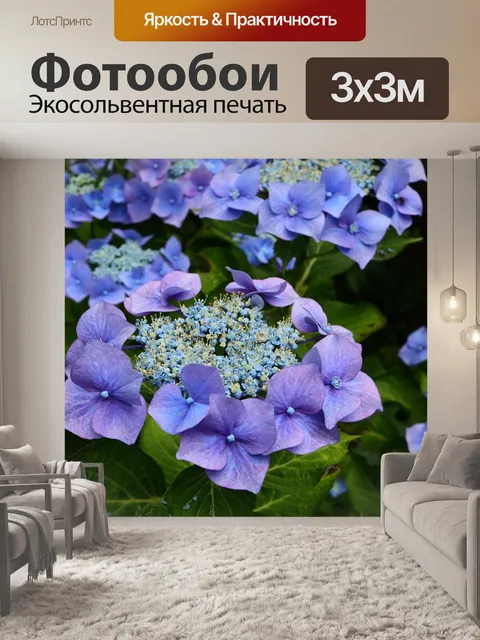 Фотообои Расцветает