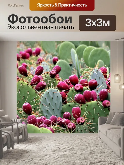 Фотообои Колючий груша кактус с фруктами