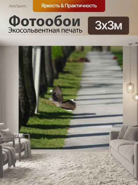 Фотообои Путь
