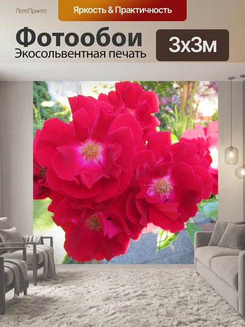 Фотообои Красивый цветок