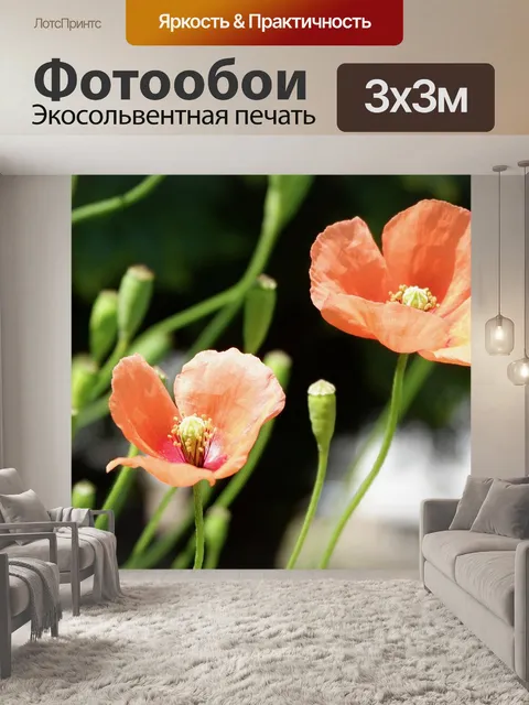 Фотообои Мак