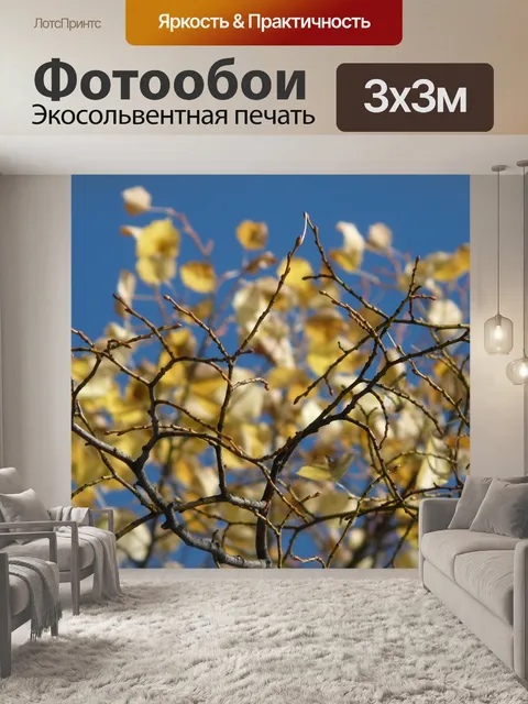 Фотообои Листья